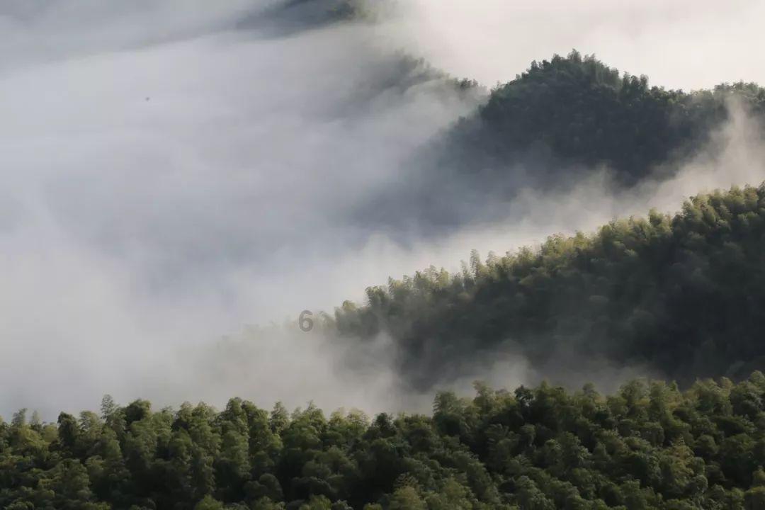 女生离婚后又开始谈恋爱了还爱前夫吗?-机智问答,智能回答,满足你的疑问