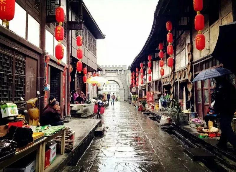 救援小肥兔